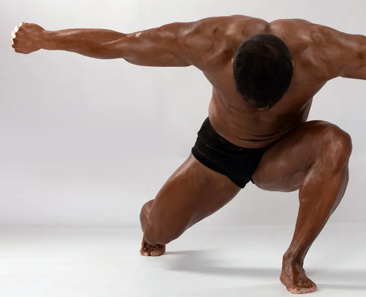 300+ Human Anatomy Reference Pictures