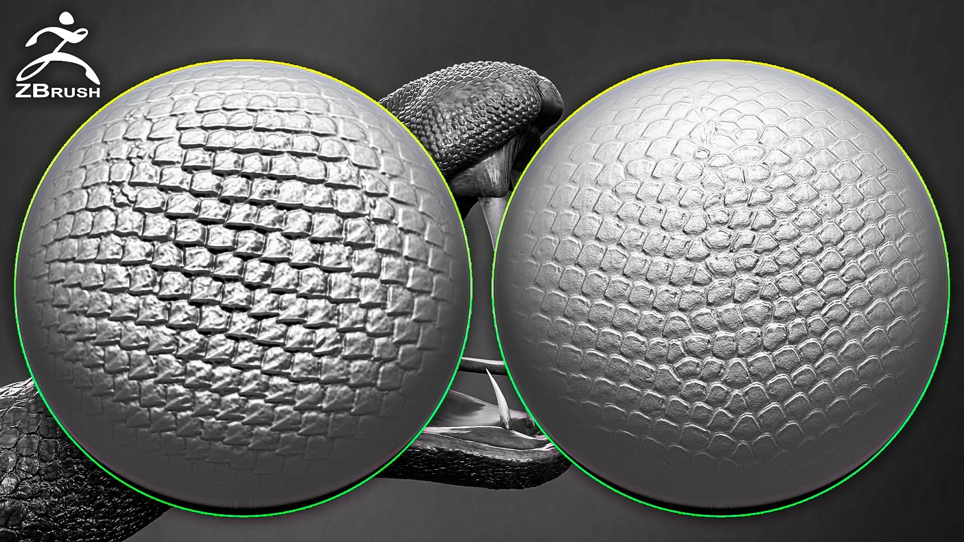 Reptile Skin Alphas for ZBrush