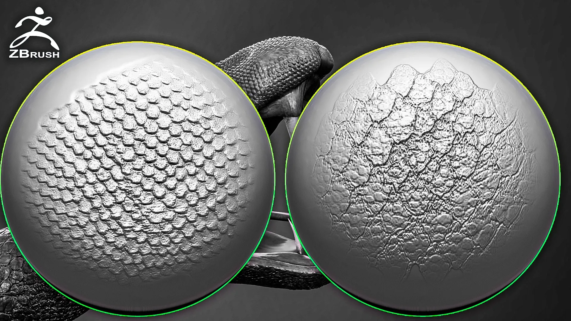 Reptile Skin Alphas for ZBrush