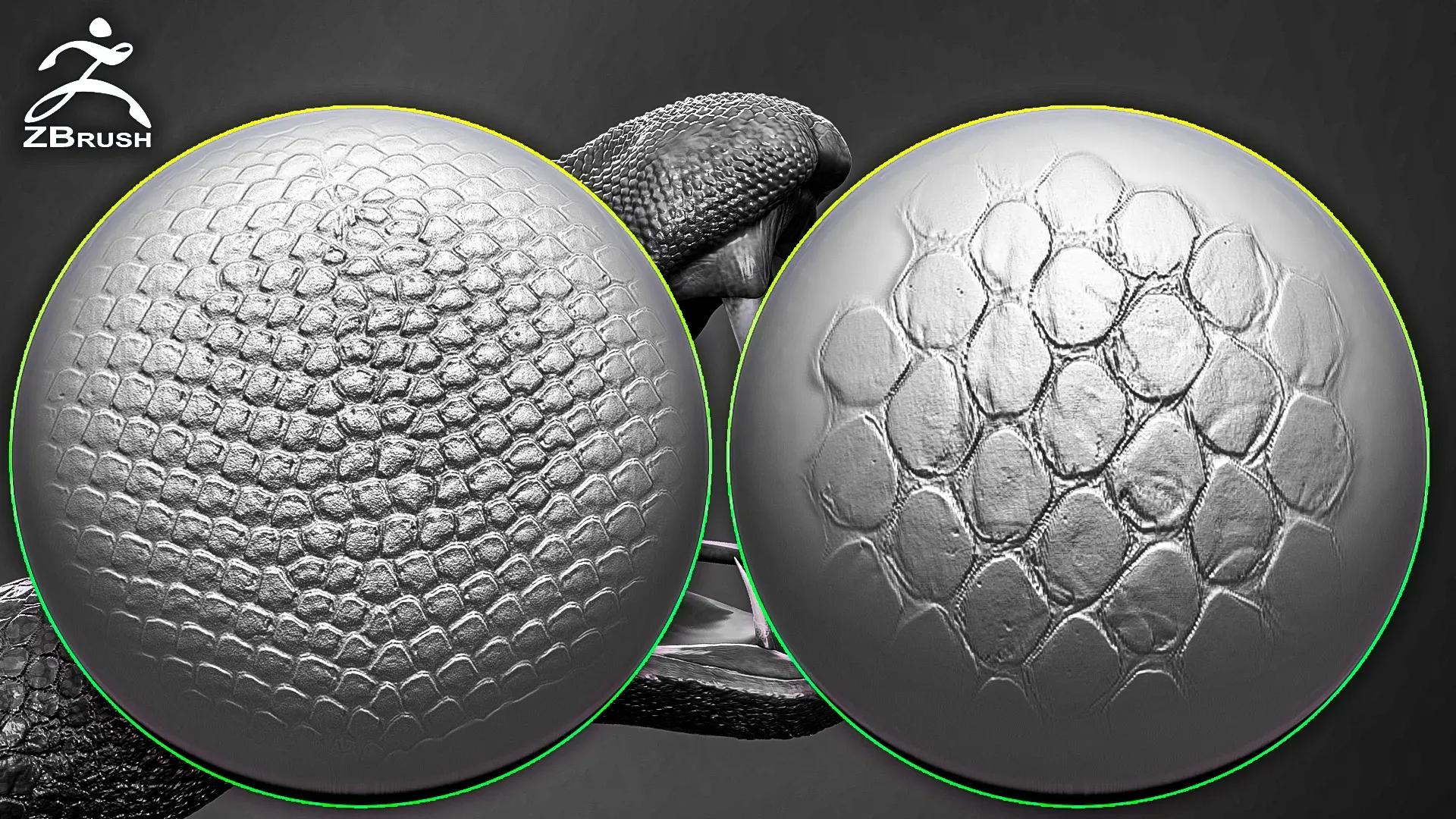 Reptile Skin Alphas for ZBrush