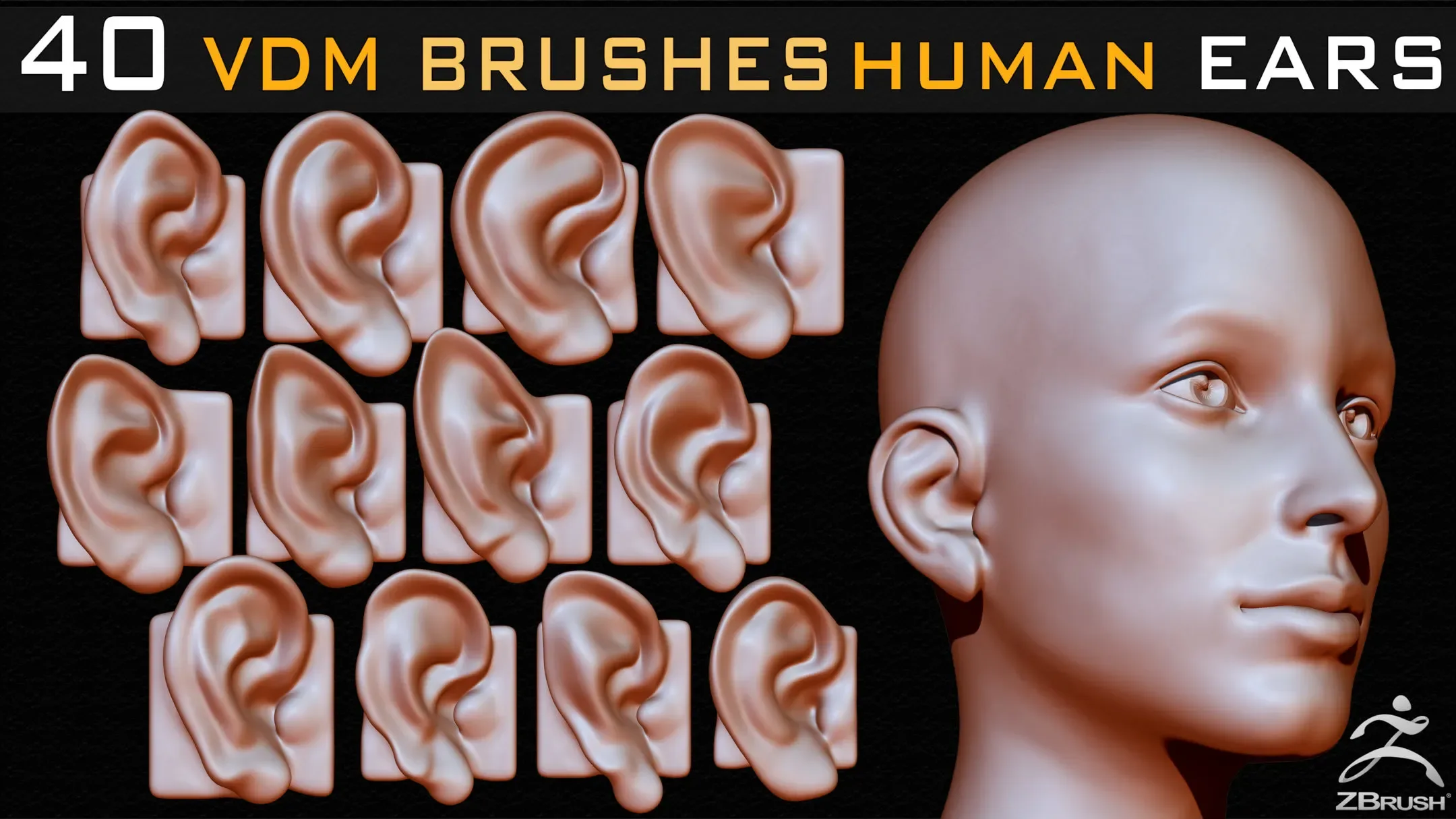 40 Zbrush VDM Human Ears Brushes