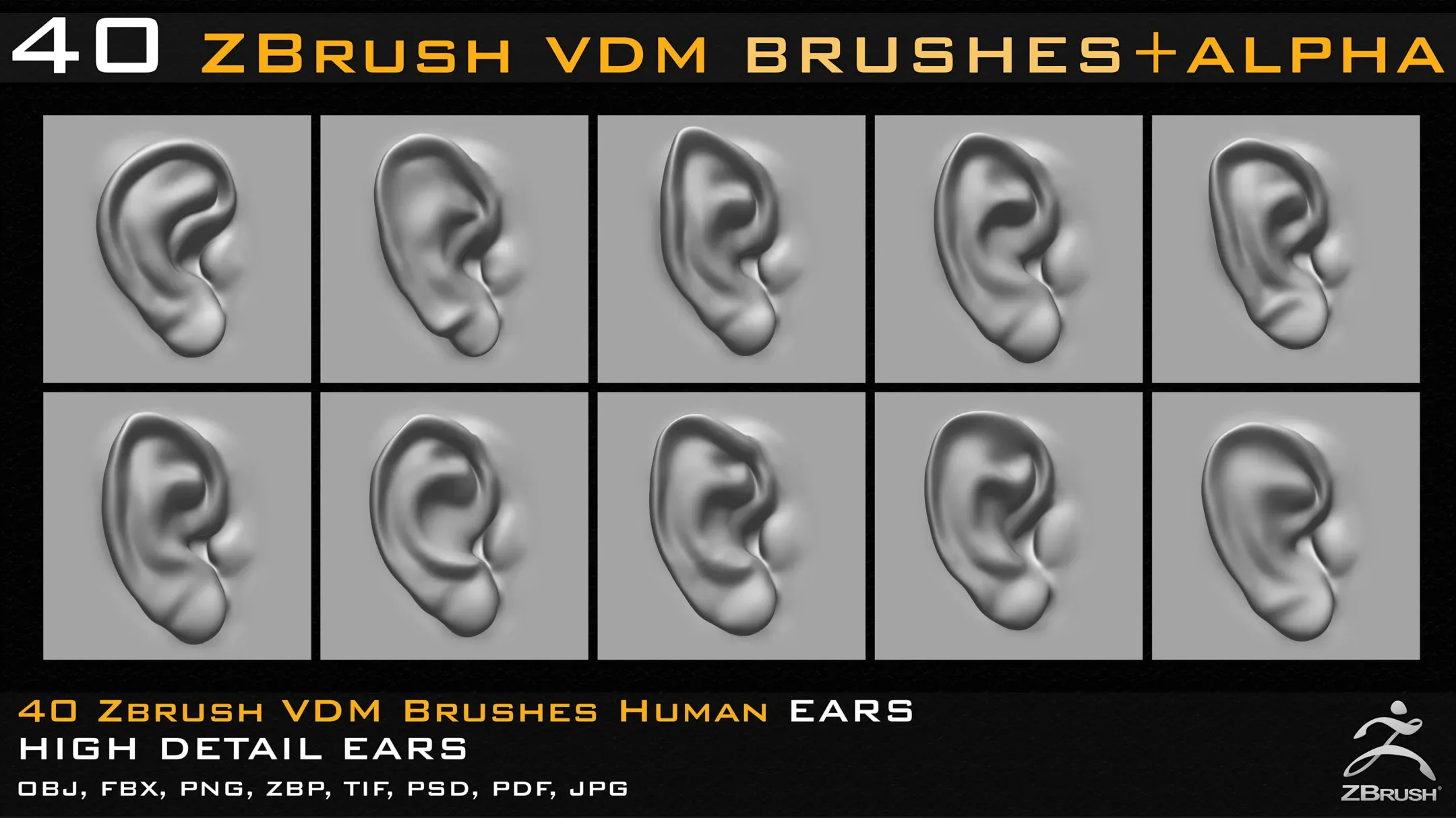 40 Zbrush VDM Human Ears Brushes