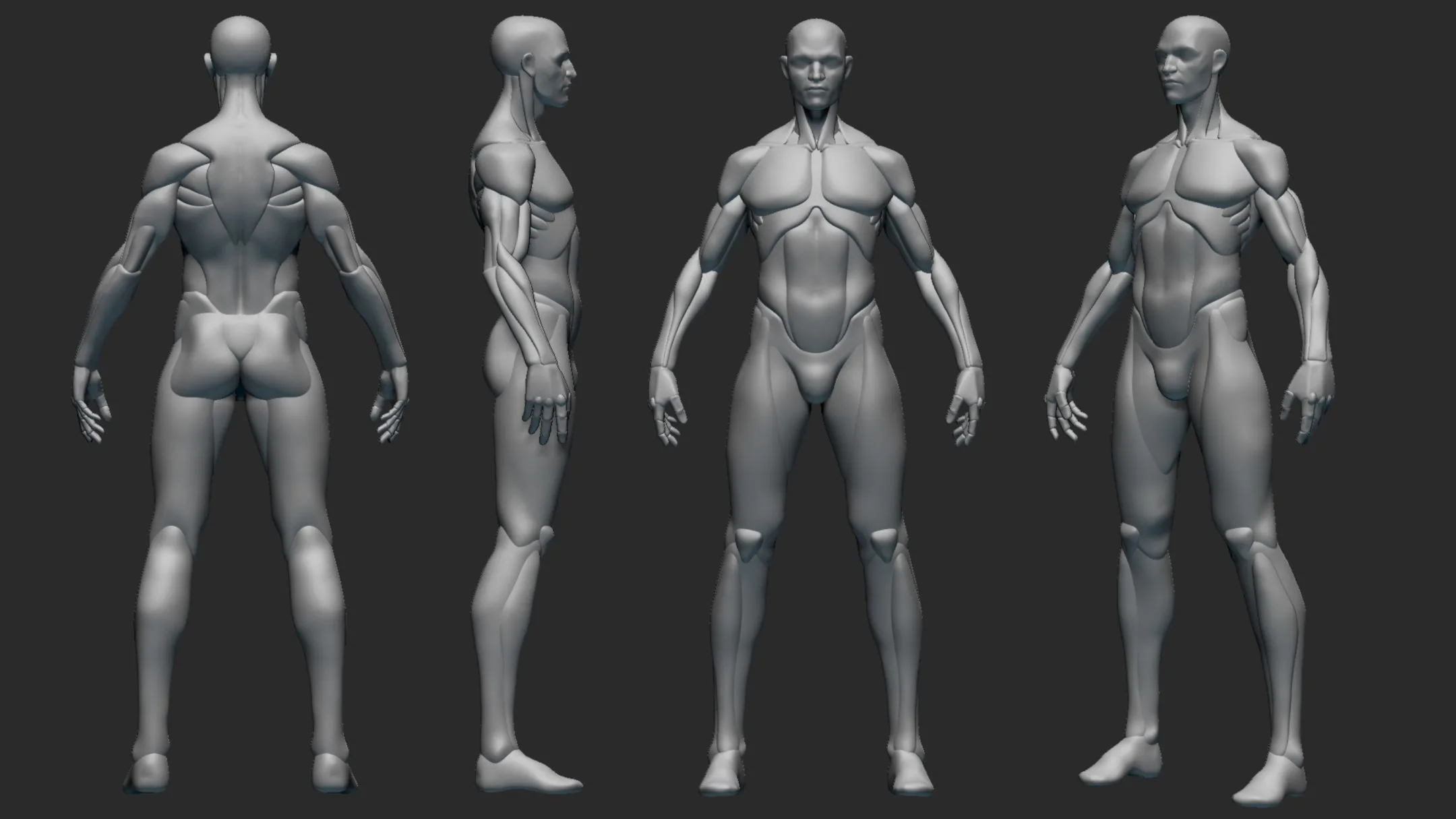 Stylized Male Anatomy Basemesh