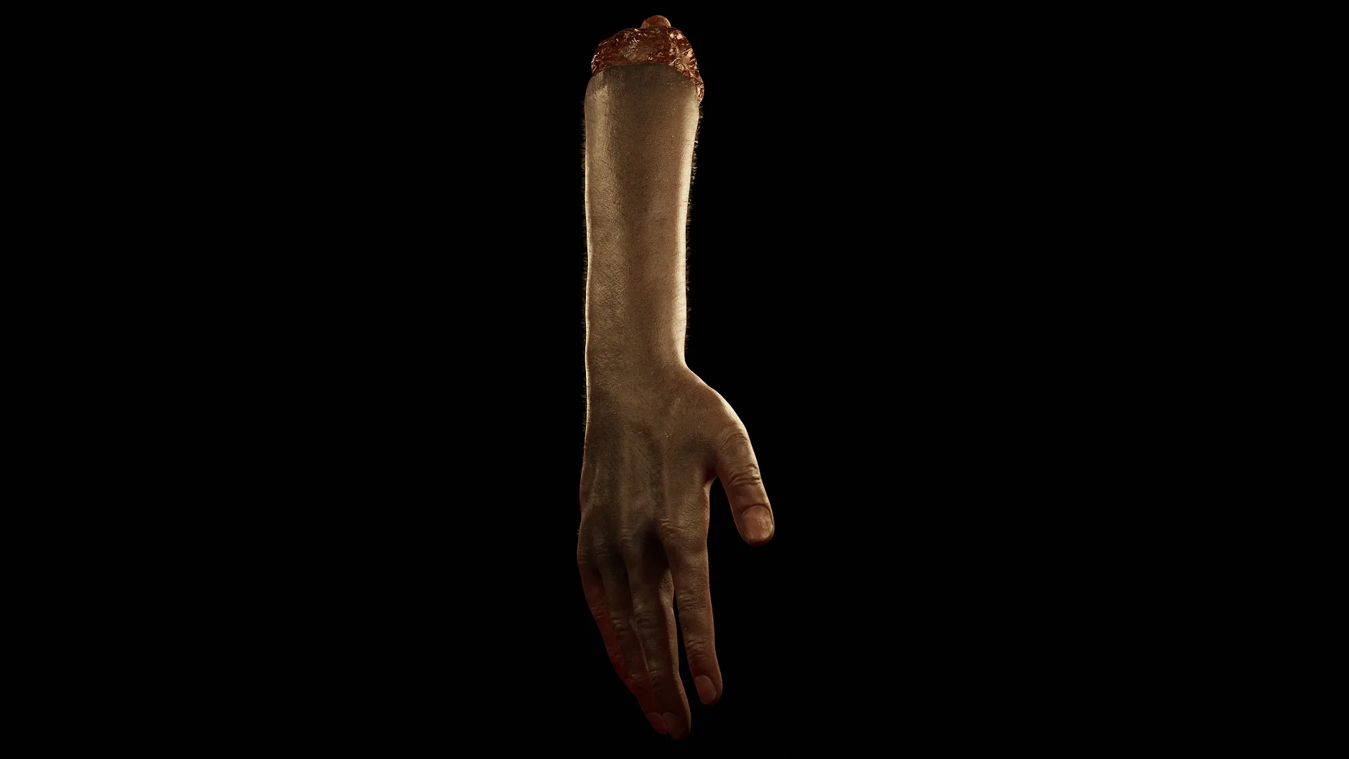 Hand - Arm Severed Low Poly