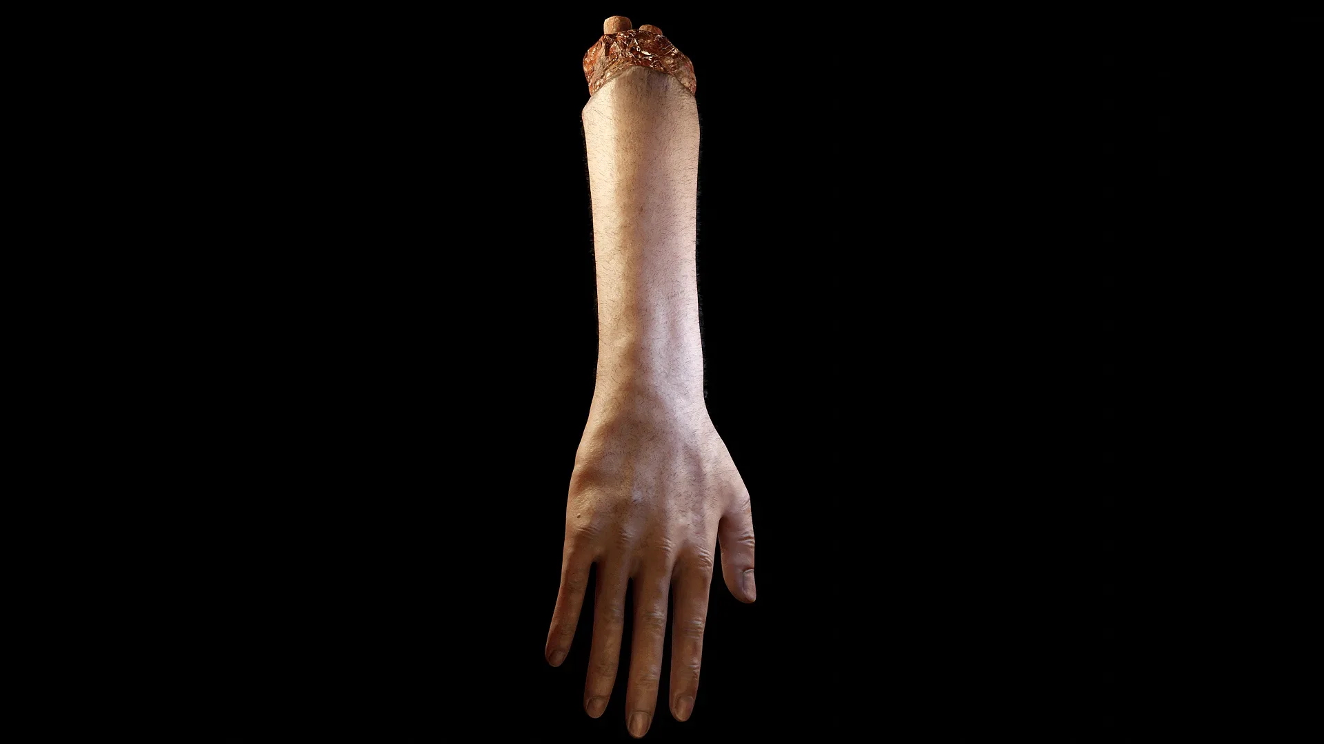 Hand - Arm Severed Low Poly