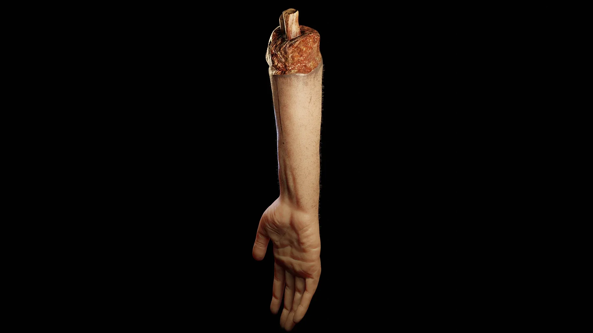 Hand - Arm Severed Low Poly