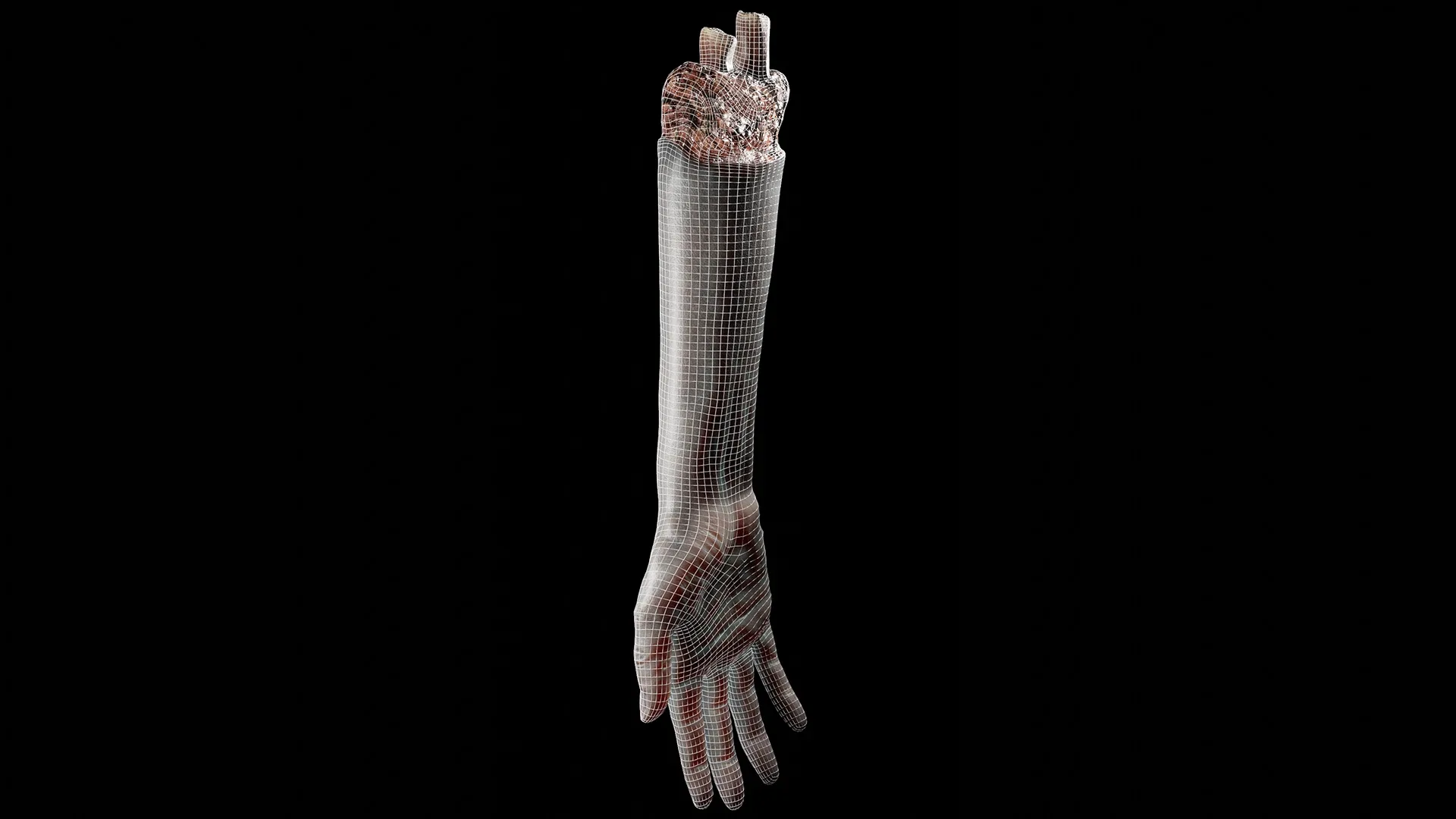 Hand - Arm Severed Low Poly