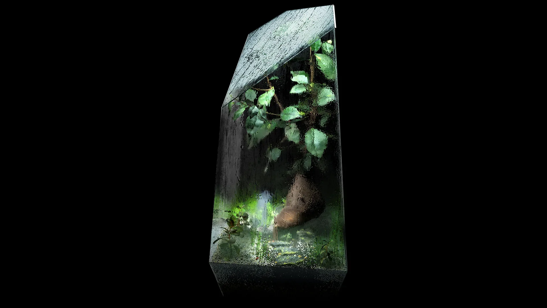 Foggy Wet Bonsai Terrarium