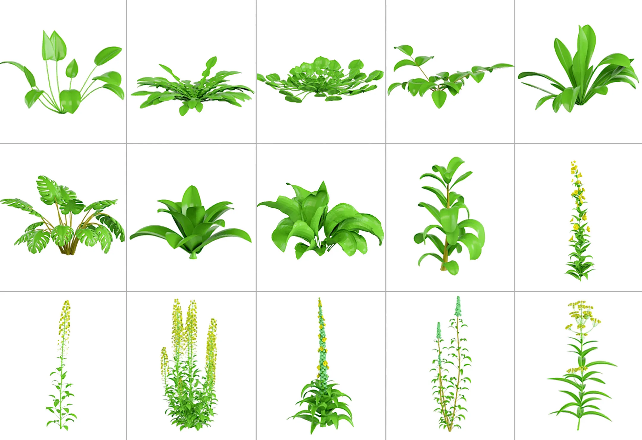 101 Plant IMM Brushes for Zbrush