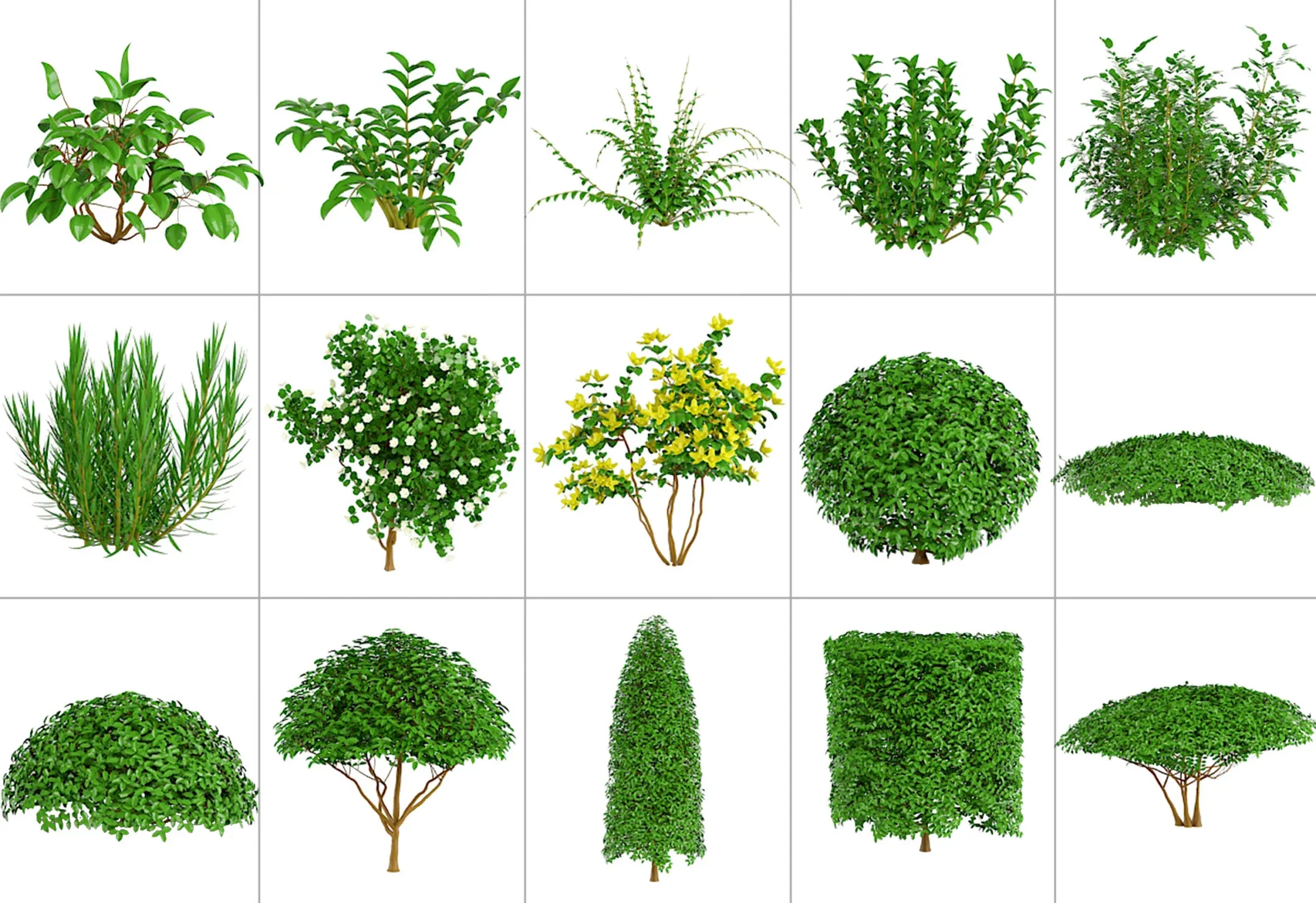 101 Plant IMM Brushes for Zbrush