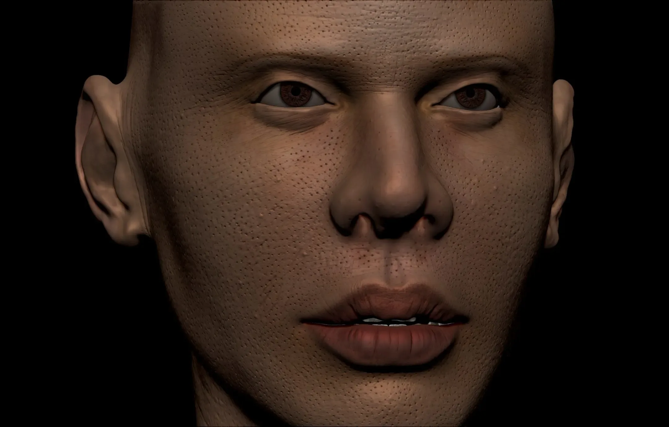 HD Female Complete Human 3D Anatomy Model