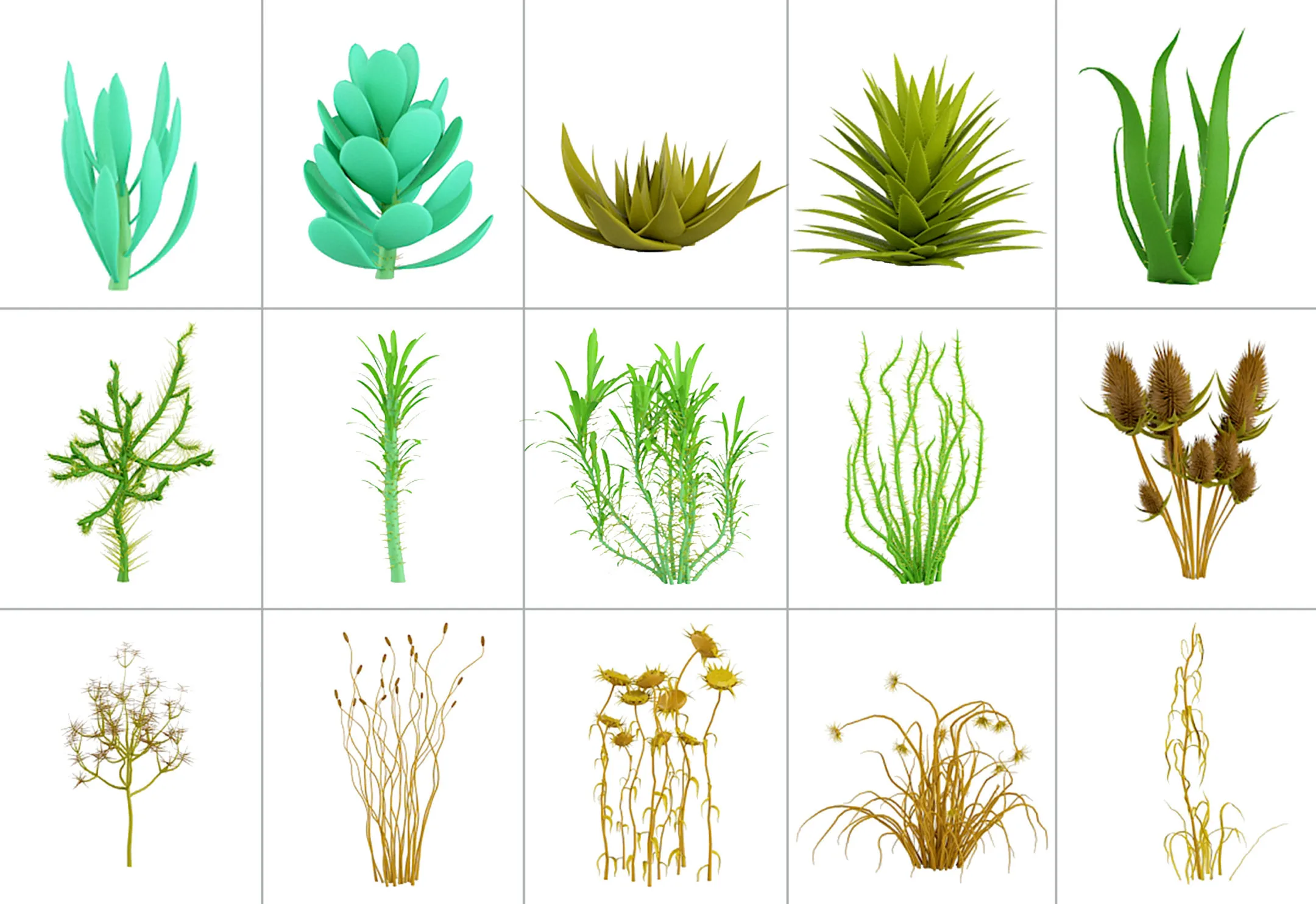 50 Desert Plant IMM Brushes for Zbrush