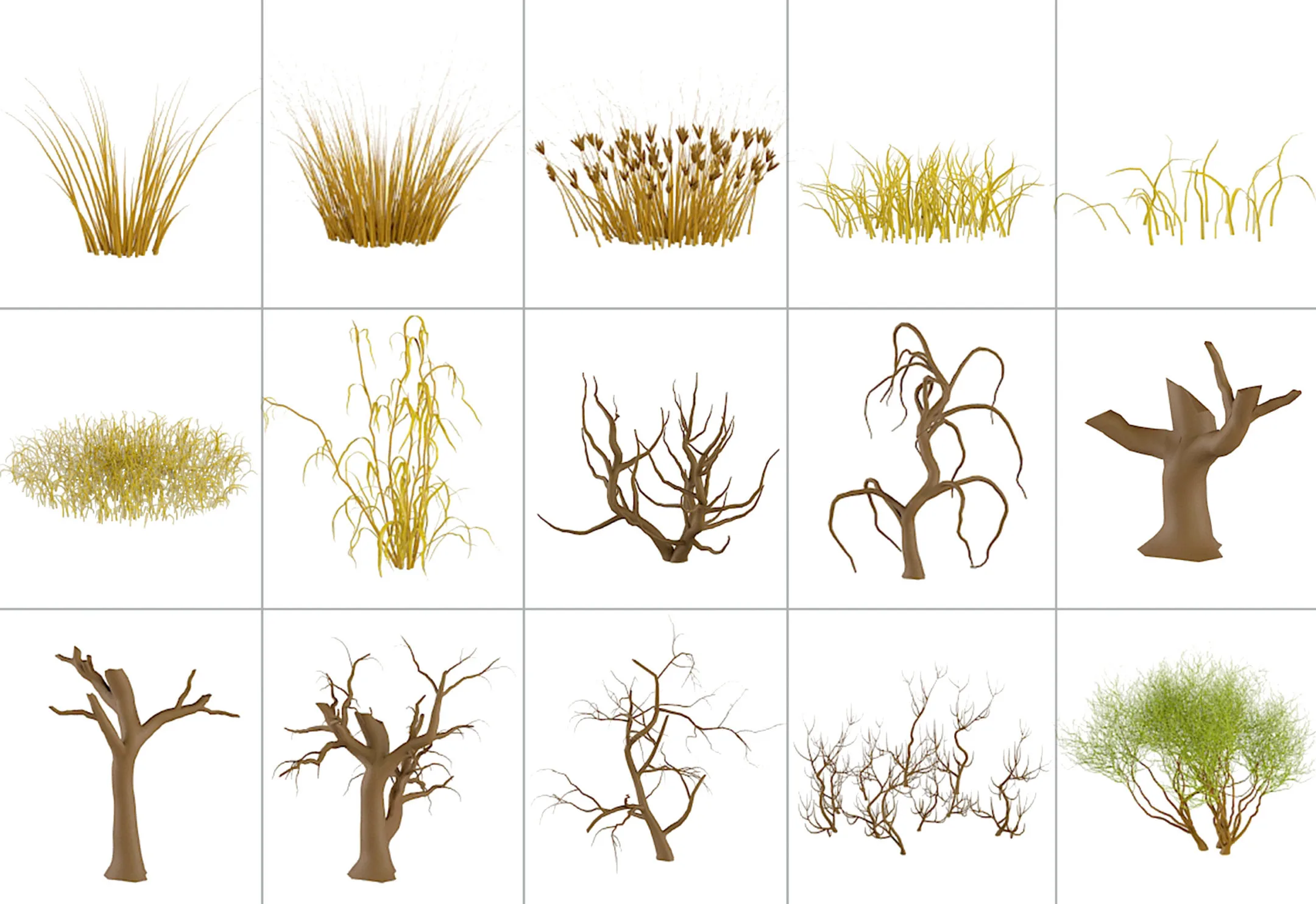 50 Desert Plant IMM Brushes for Zbrush