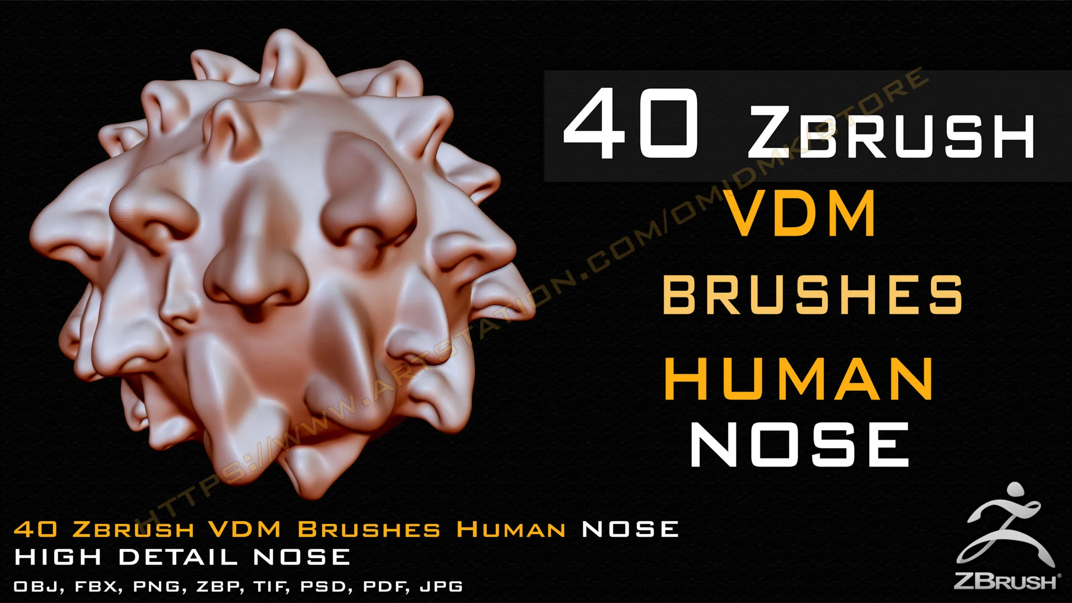 40 Zbrush VDM Human Nose Brushes + Alpha + FBX + OBJ