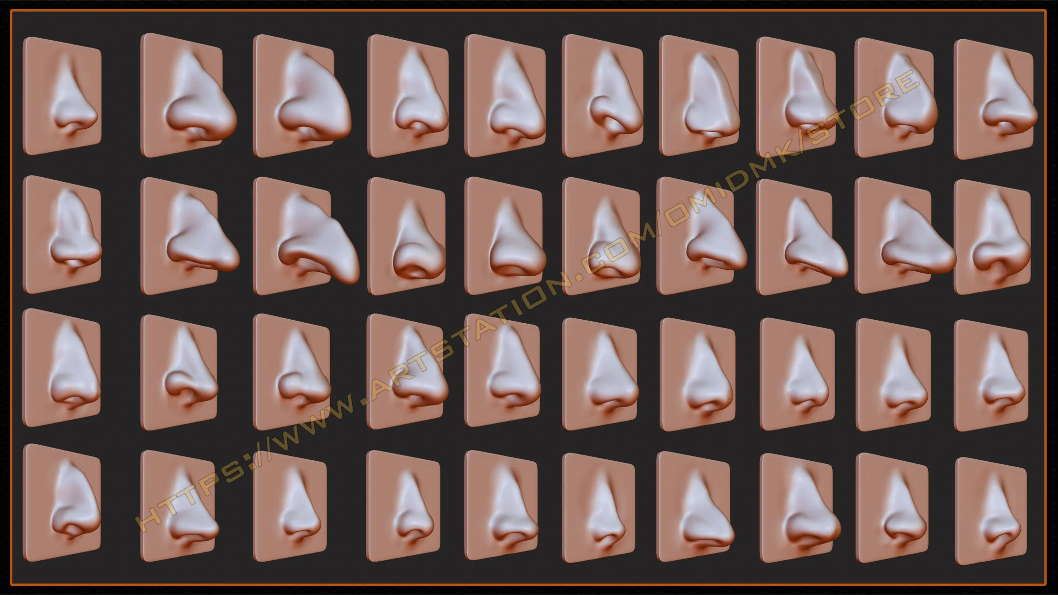 40 Zbrush VDM Human Nose Brushes + Alpha + FBX + OBJ