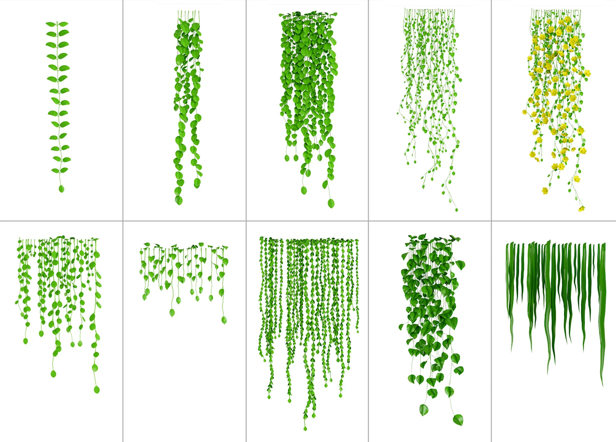 26 Hanging Plant IMM Brushes for Zbrush