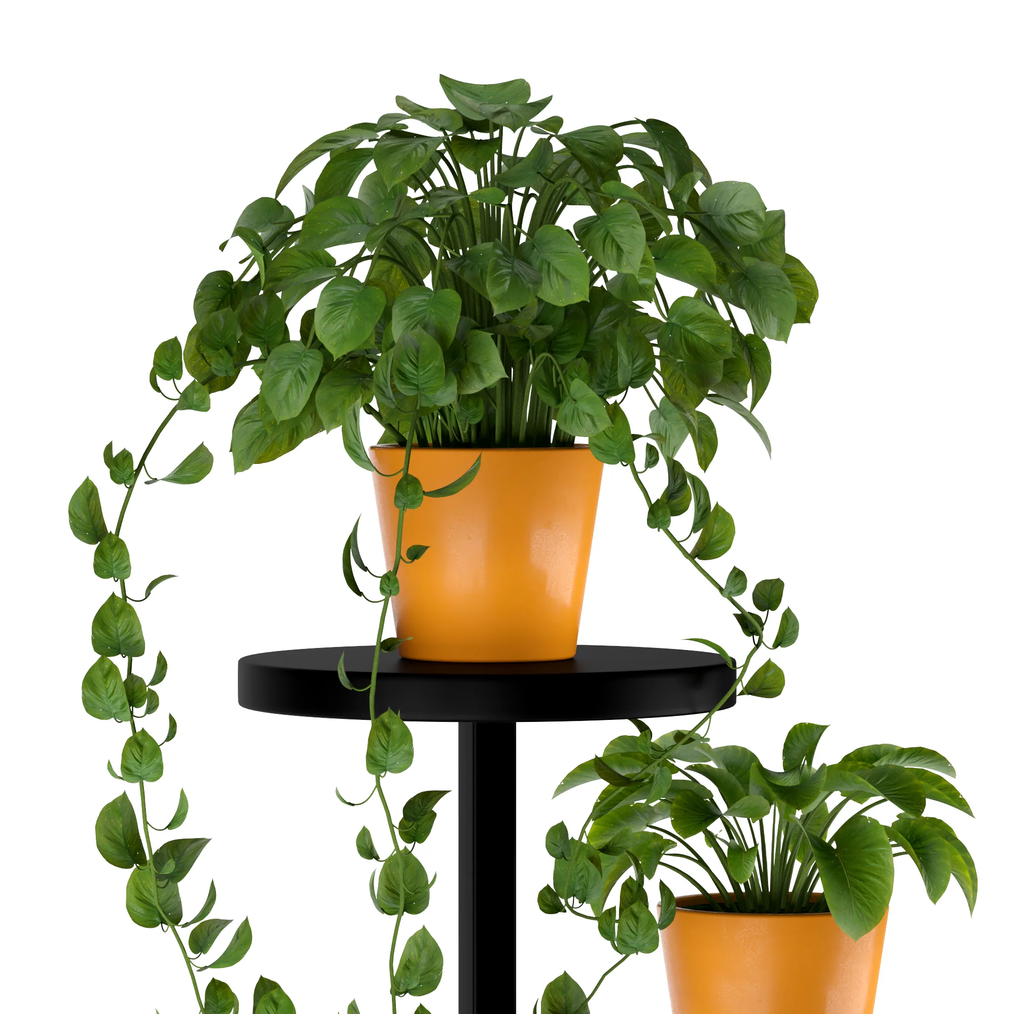 Plant Stand