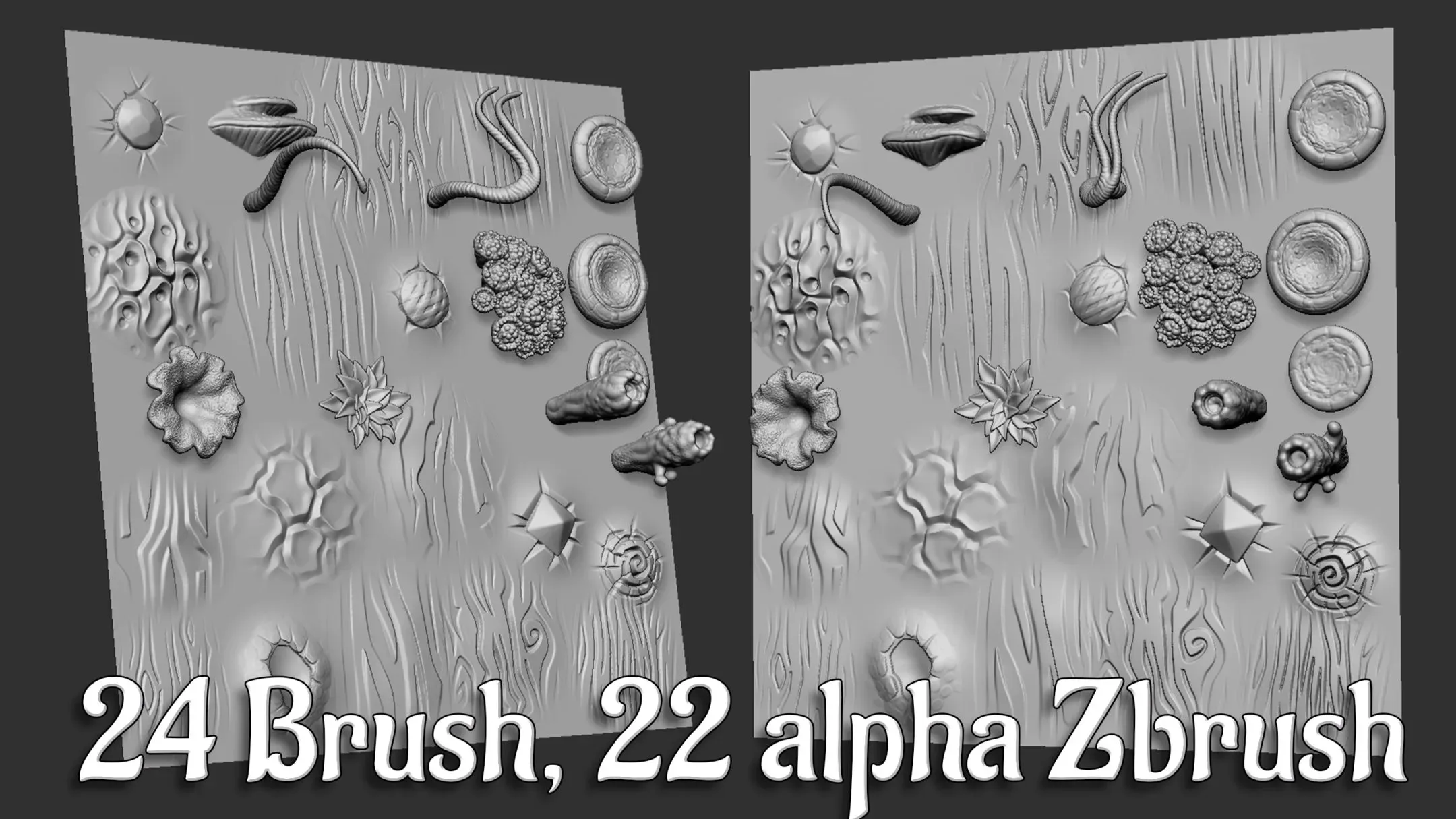 24 ZBP Brush, 22 Alpha Zbrush