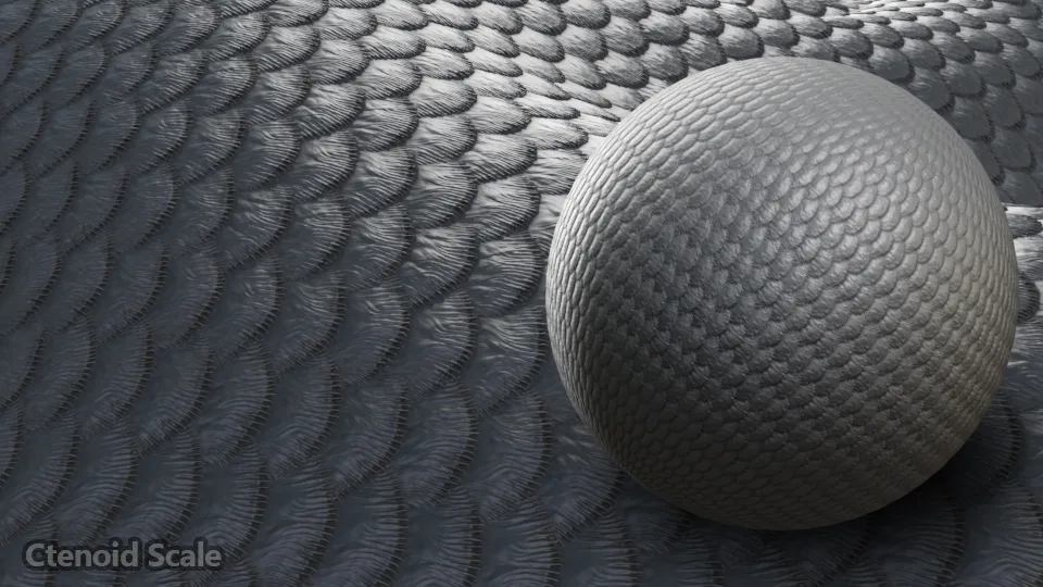 Fish Scale Displacements 1