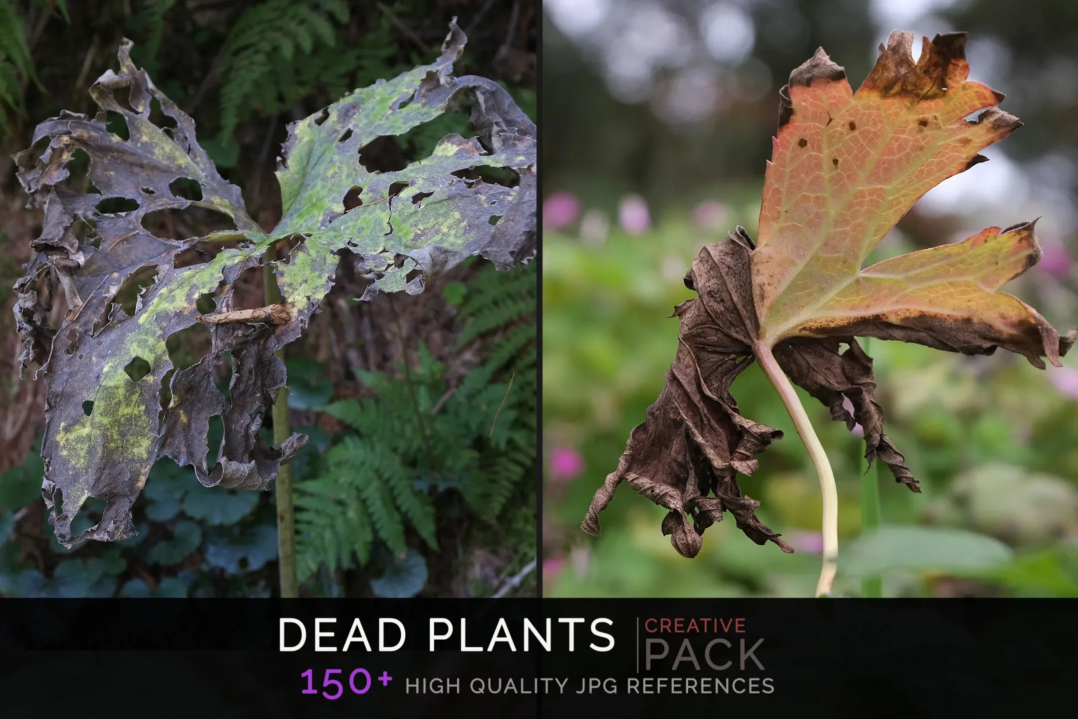 Dead Plants CREATIVE PACK