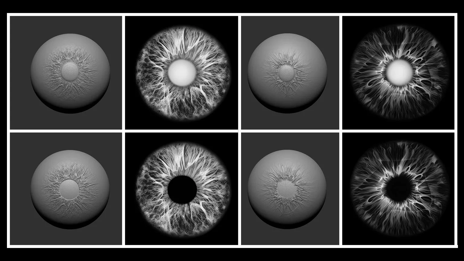 MR78 Detailed Irises Alphas Vol. 1