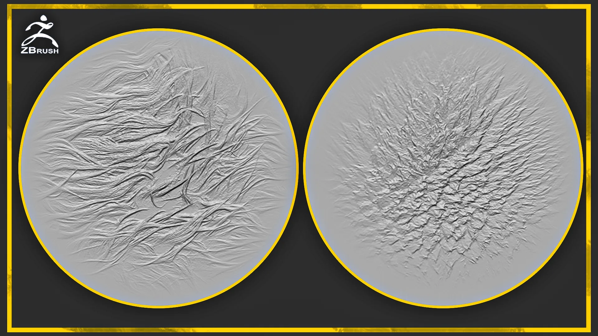 20 Fur and Hair Alphas for ZBrush