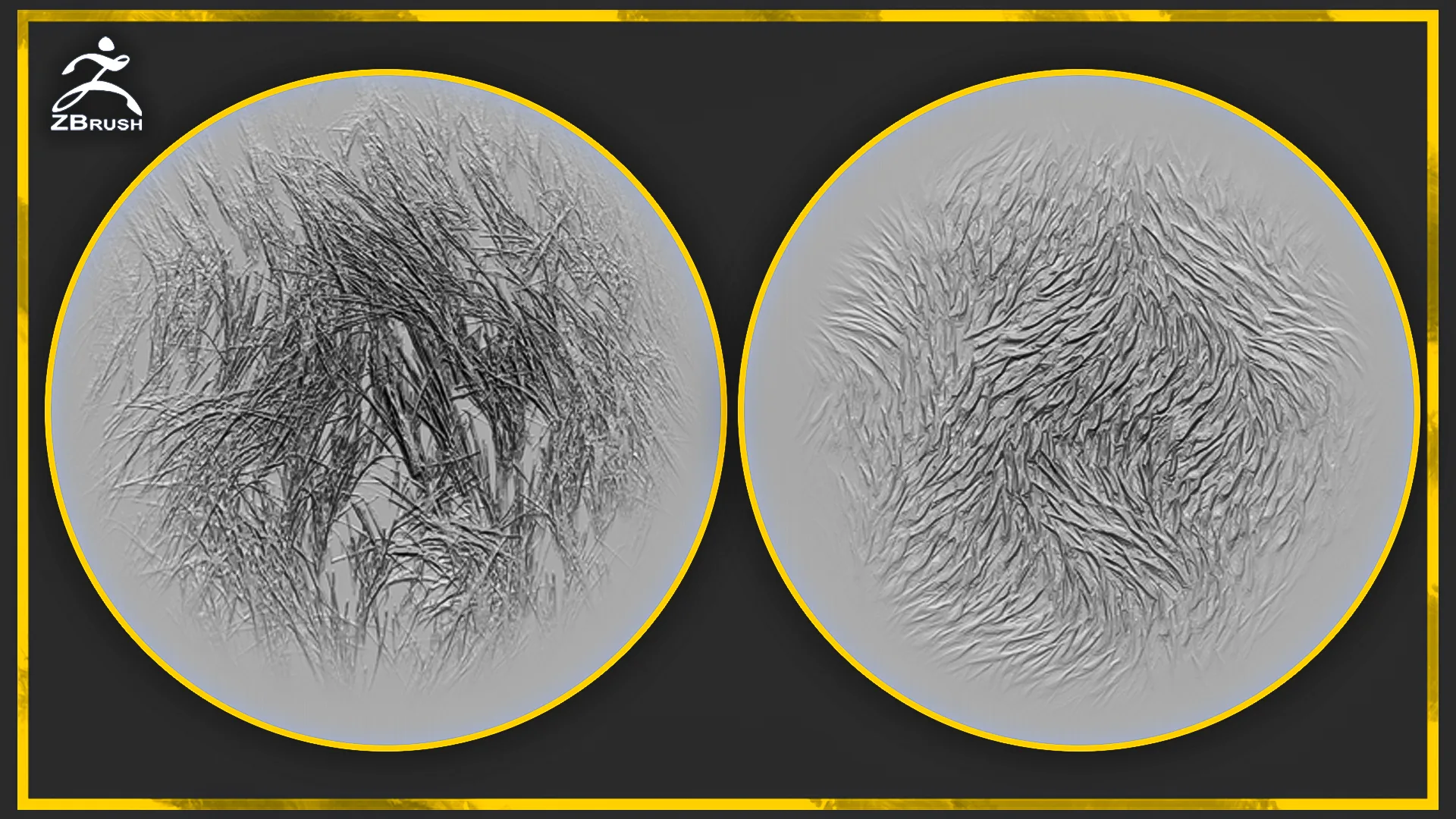 20 Fur and Hair Alphas for ZBrush