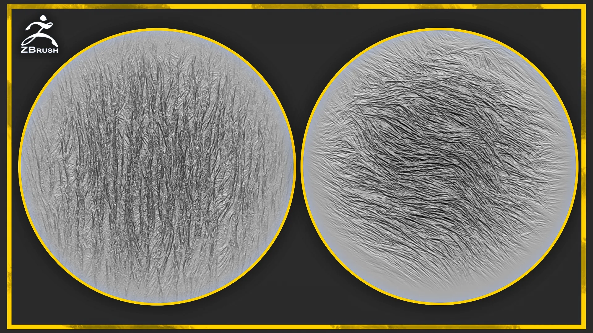 20 Fur and Hair Alphas for ZBrush