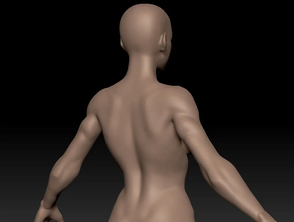 Female Human Anatomy zbrush Sculpt Reference by Hong Chan Lim