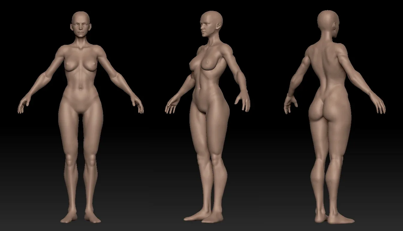 Female Human Anatomy zbrush Sculpt Reference by Hong Chan Lim