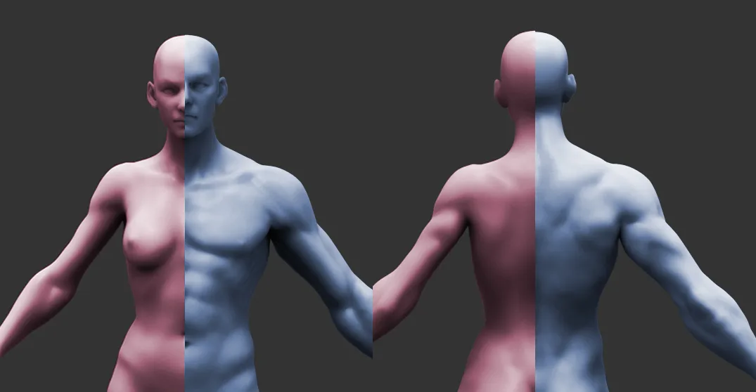 Male & Female Human Anatomy Zbrush Sculpt Reference by Hong Chan Lim(bundle)