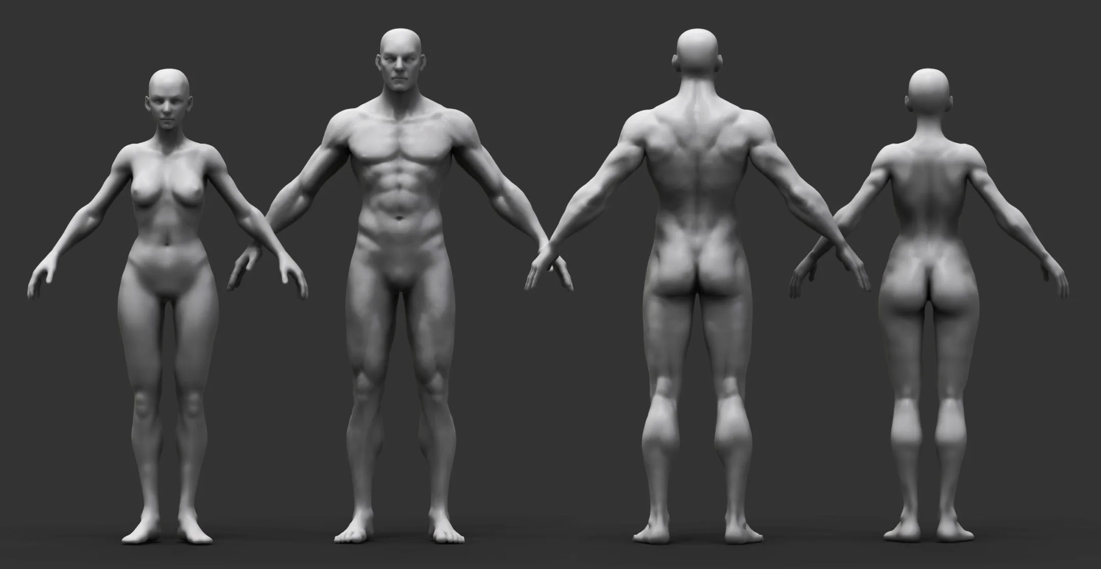 Male & Female Human Anatomy Zbrush Sculpt Reference by Hong Chan Lim(bundle)