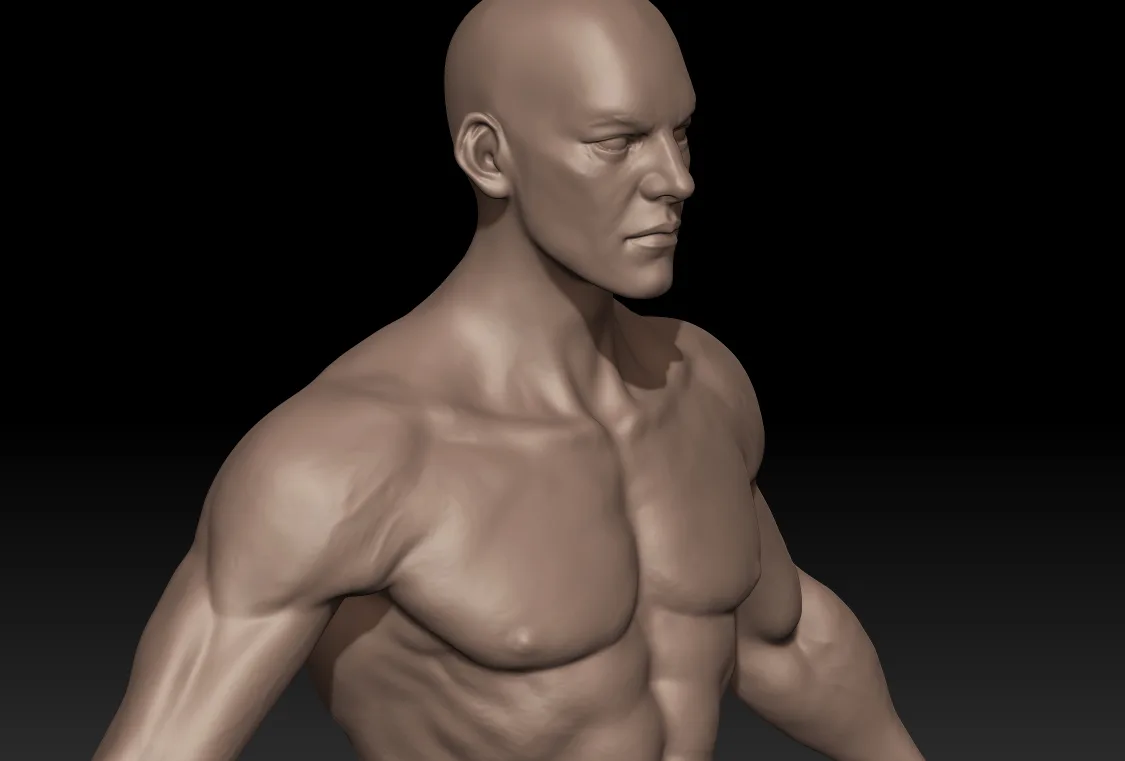 Male Human Anatomy Zbrush Sculpt Reference by Hong Chan Lim(bundle)