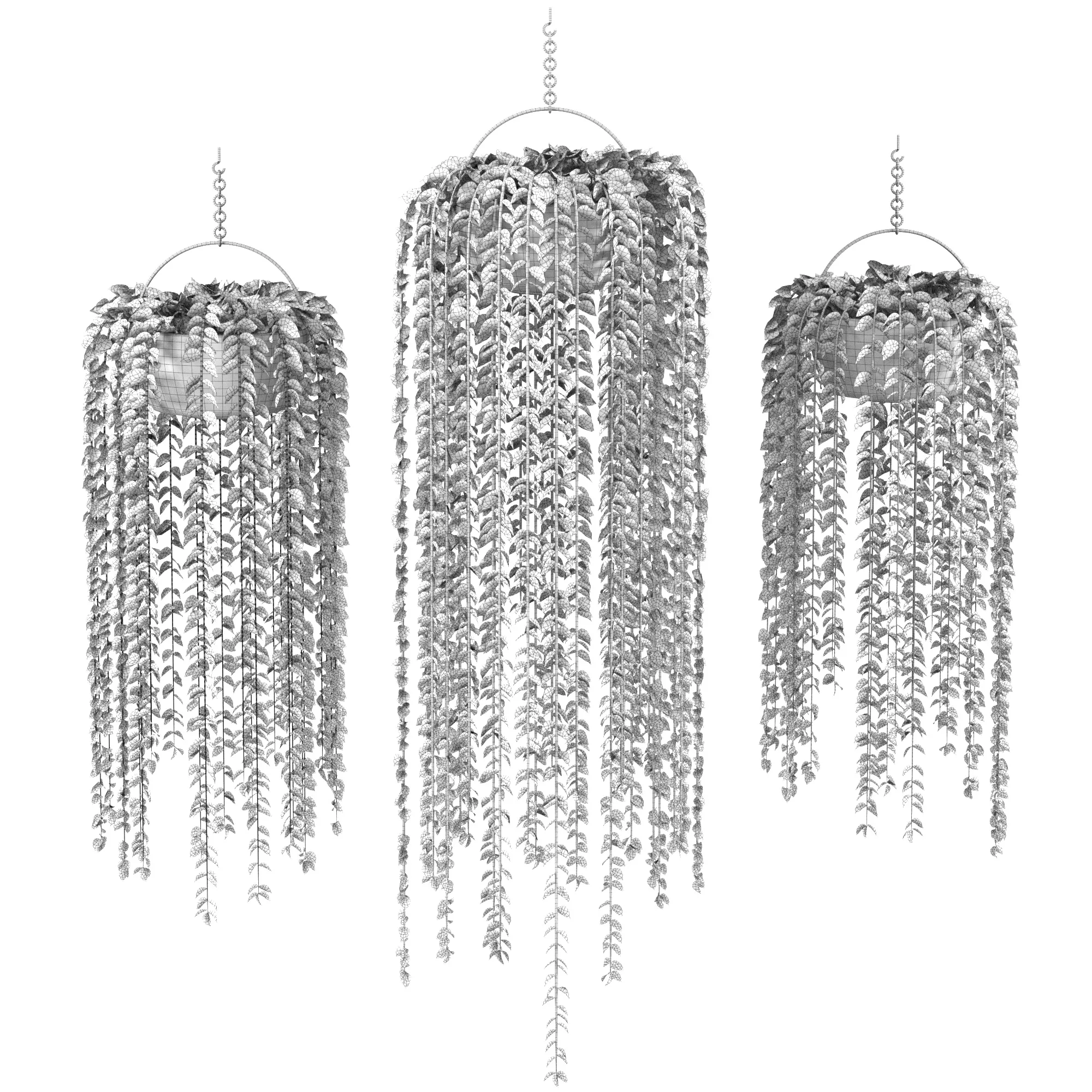 Plants Collection 10