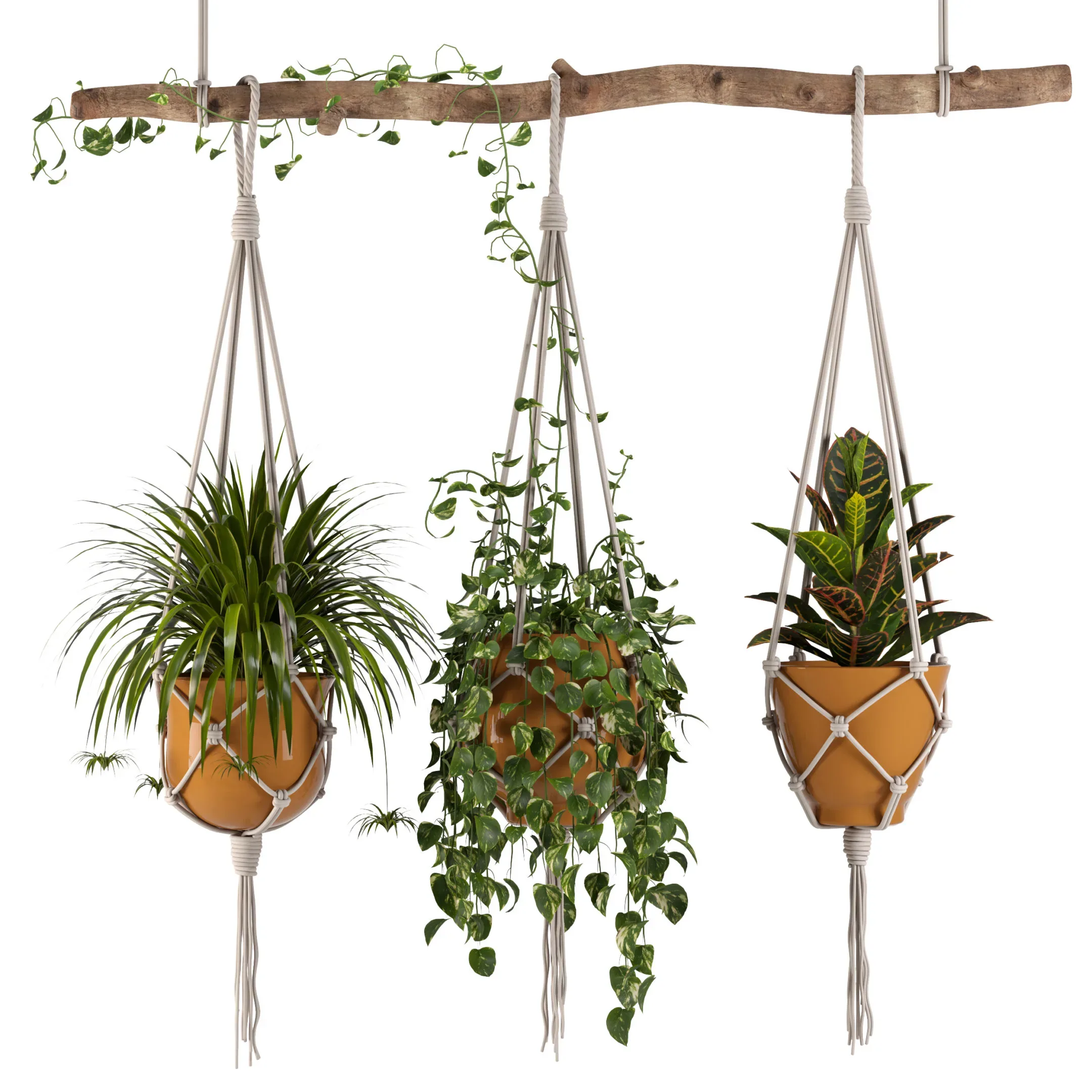 Indoor Plants Set 01 - Hanging Plants with Macrame