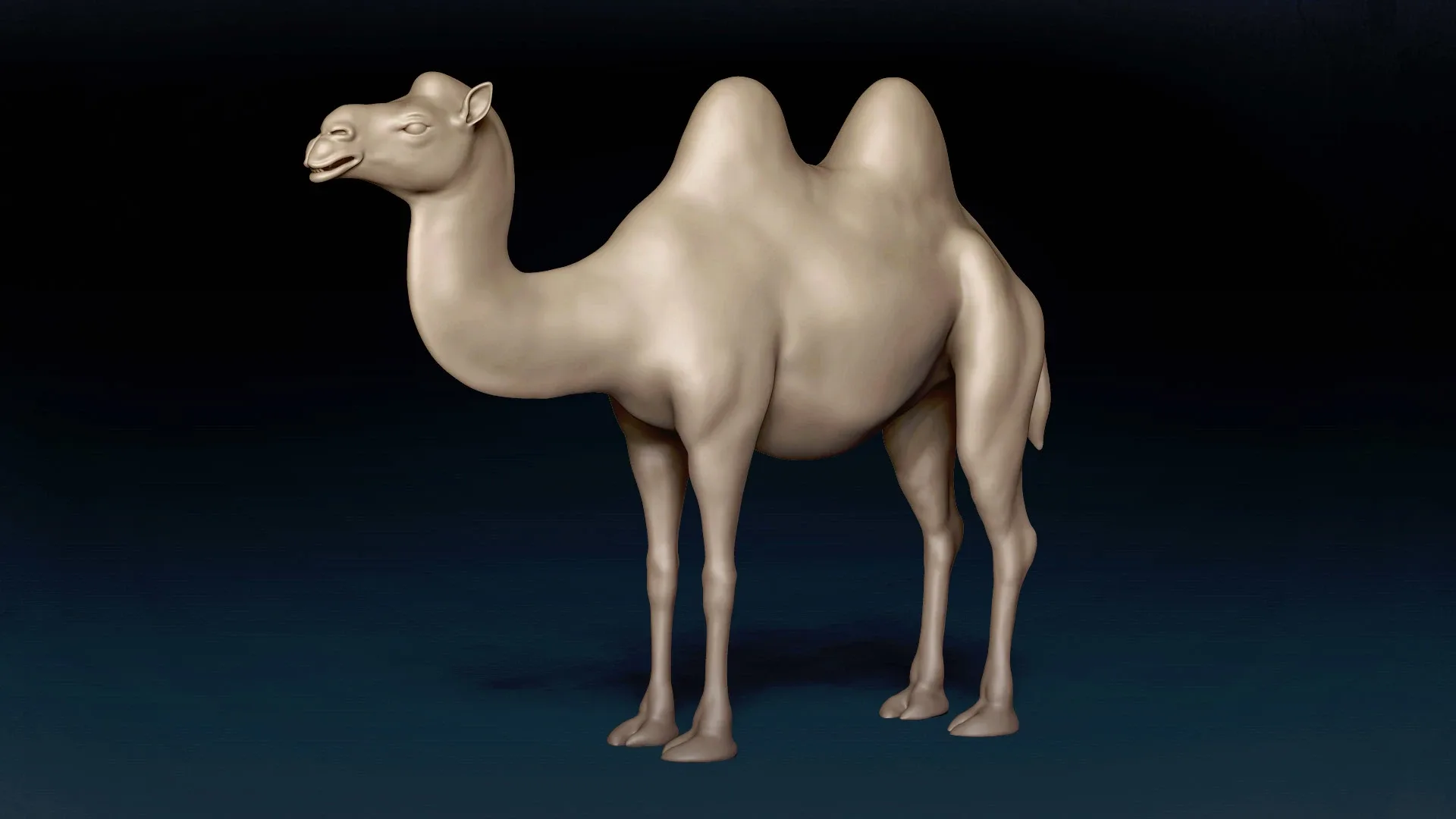 Bactrian Camel Basemesh 3D model