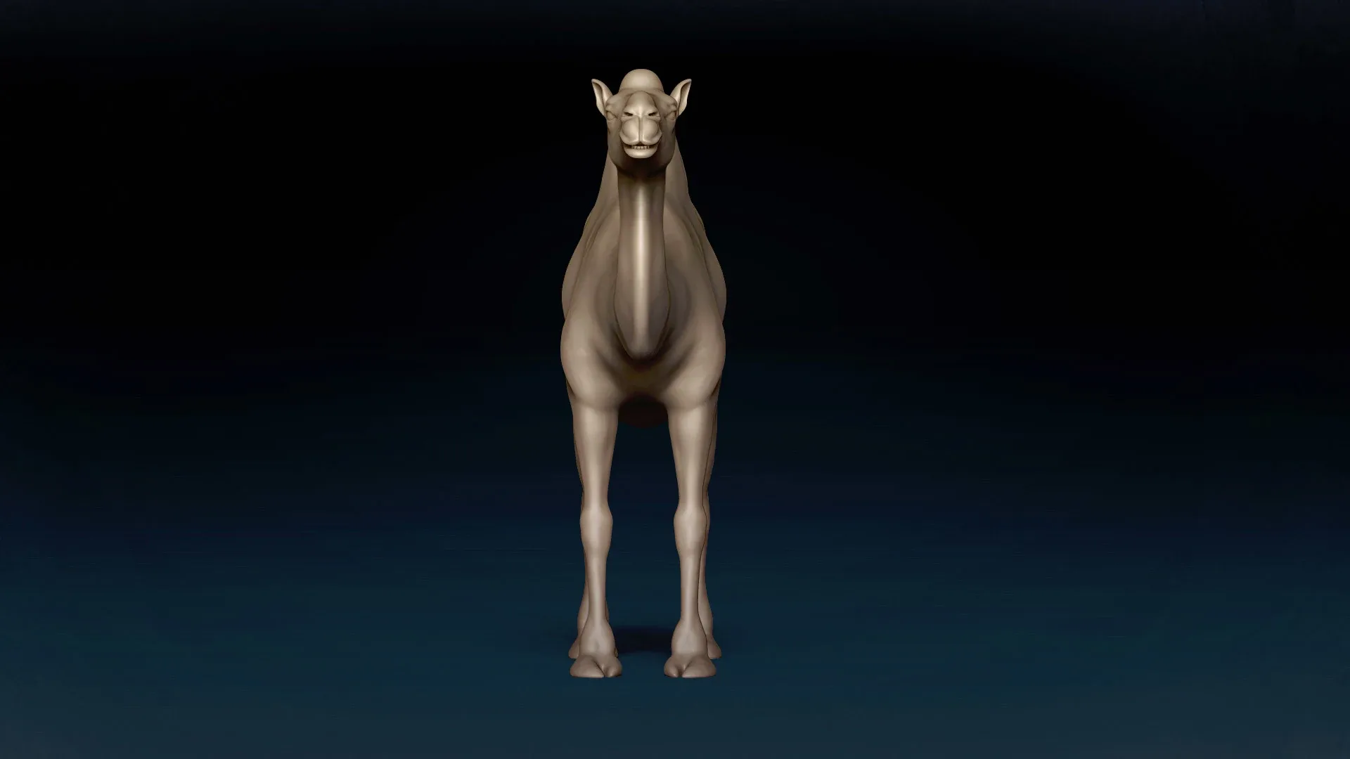 Bactrian Camel Basemesh 3D model