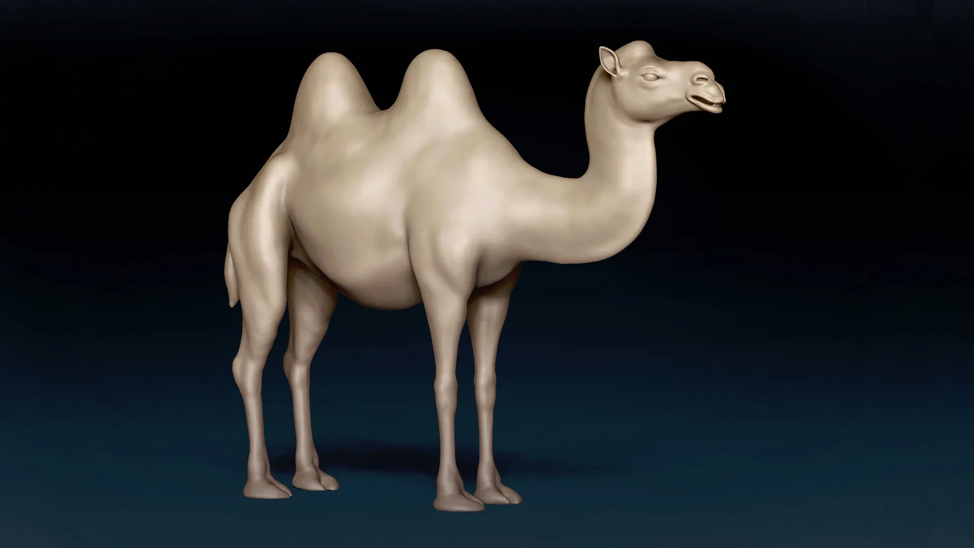 Bactrian Camel Basemesh 3D model