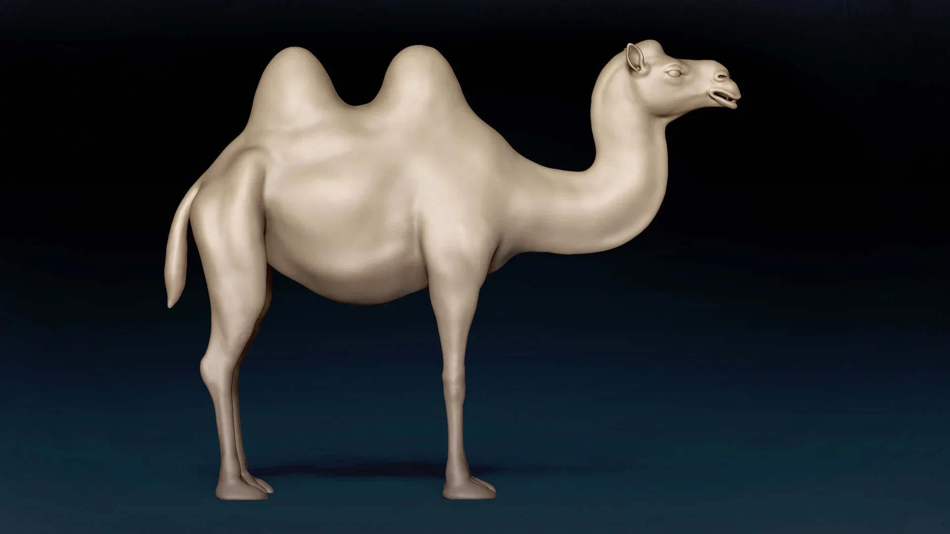 Bactrian Camel Basemesh 3D model