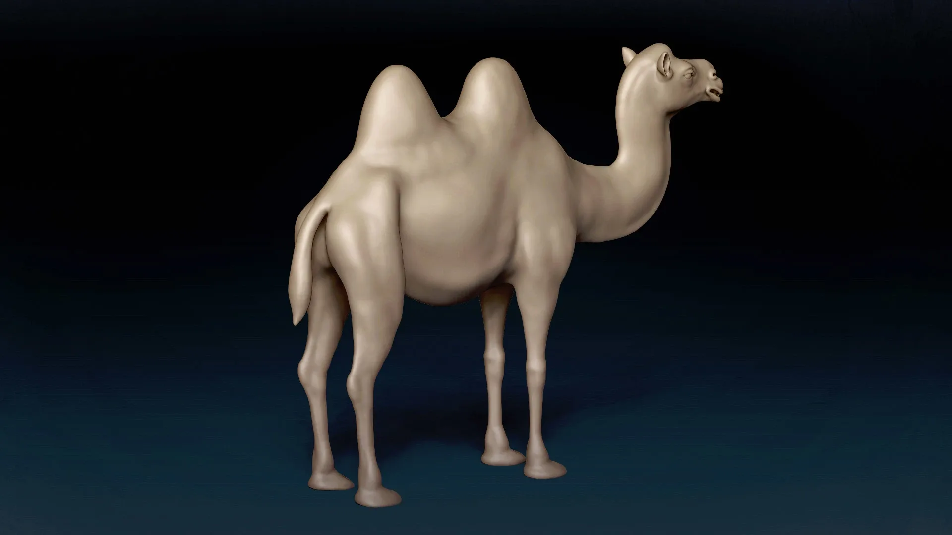 Bactrian Camel Basemesh 3D model