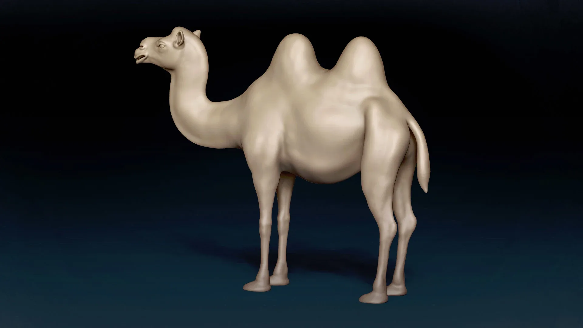 Bactrian Camel Basemesh 3D model