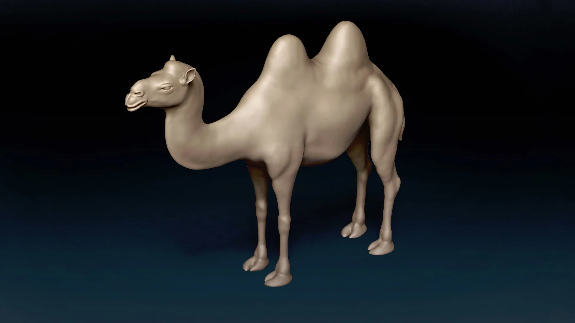 Bactrian Camel Basemesh 3D model