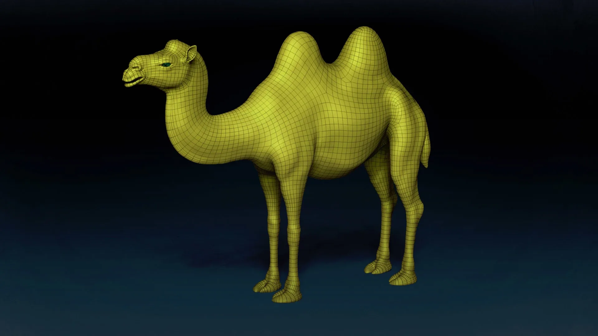 Bactrian Camel Basemesh 3D model