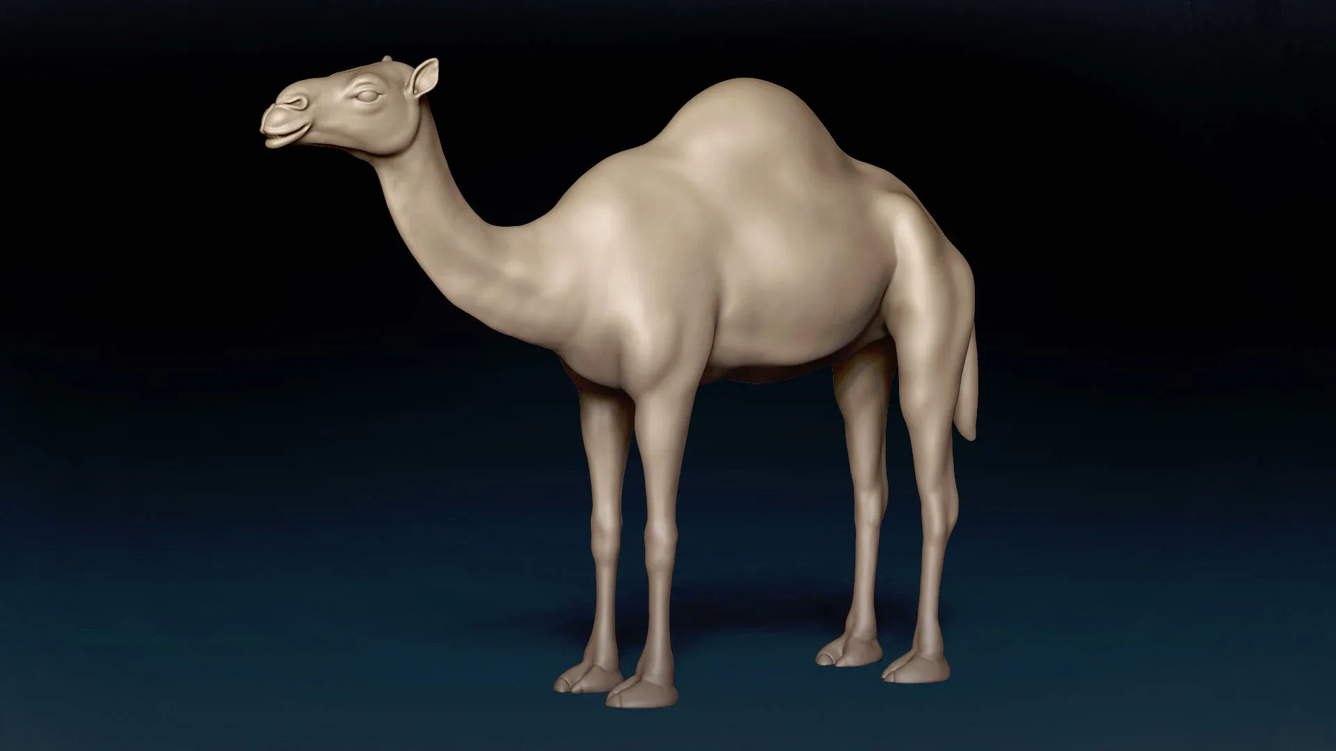 Camel Basemesh 3D model