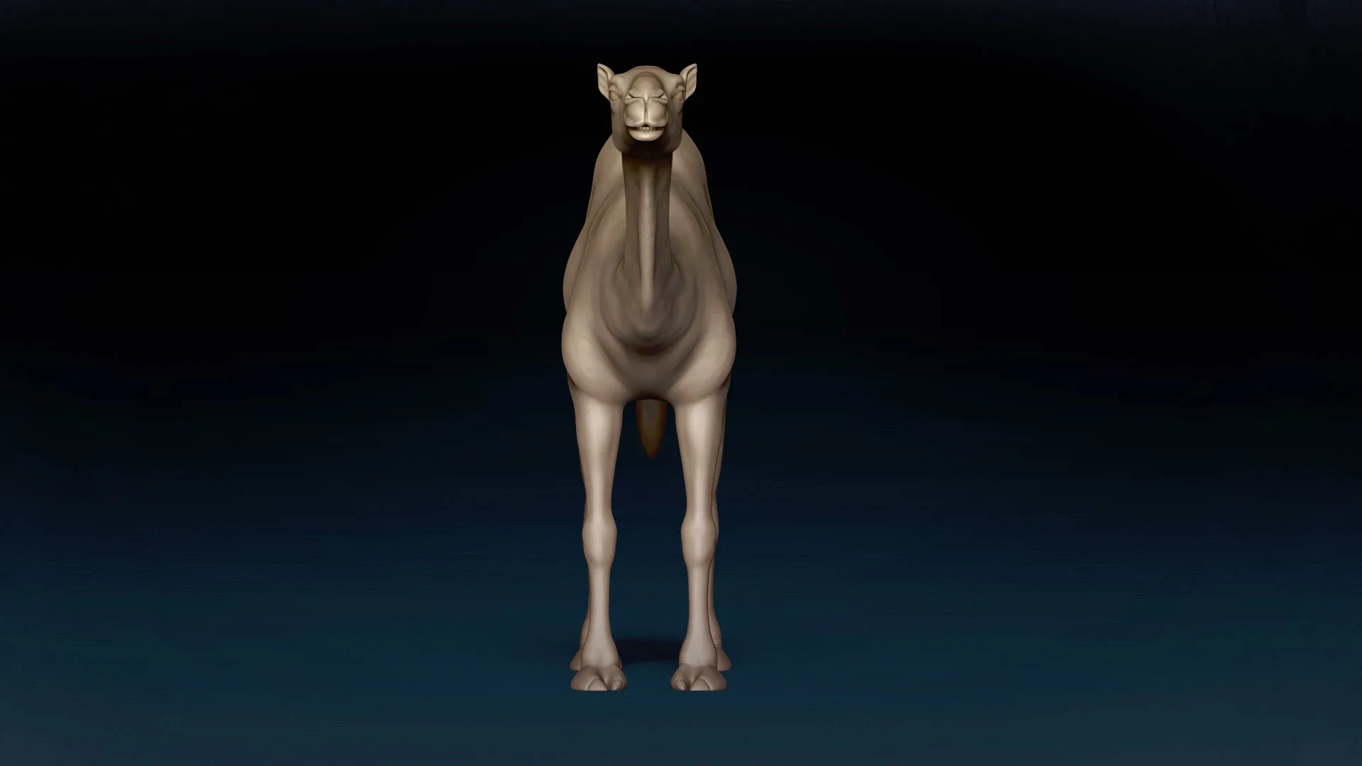 Camel Basemesh 3D model