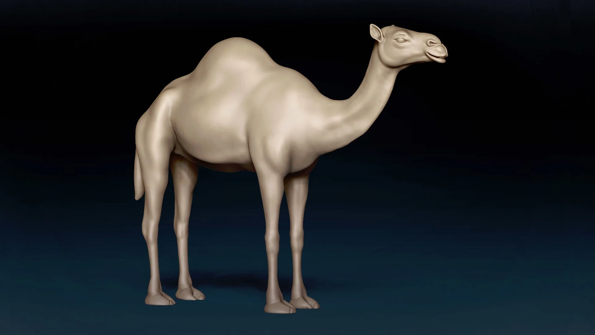 Camel Basemesh 3D model