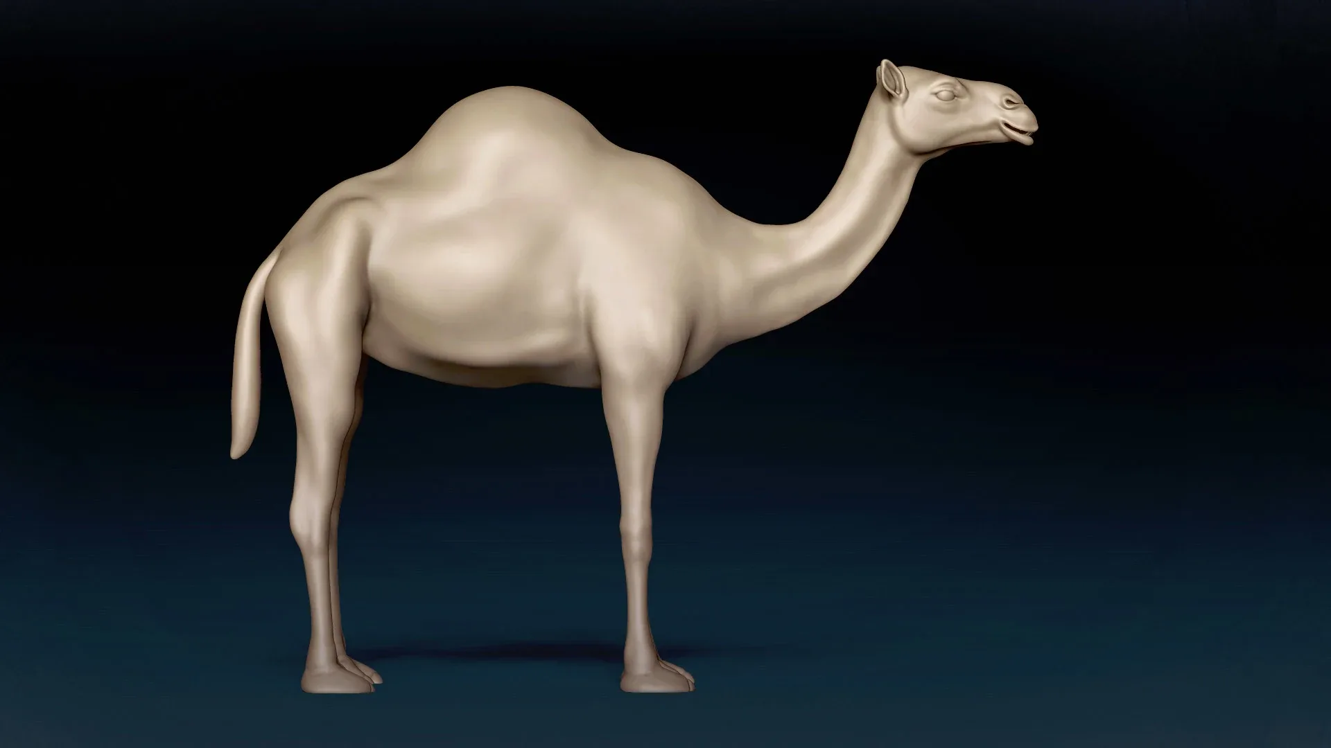 Camel Basemesh 3D model