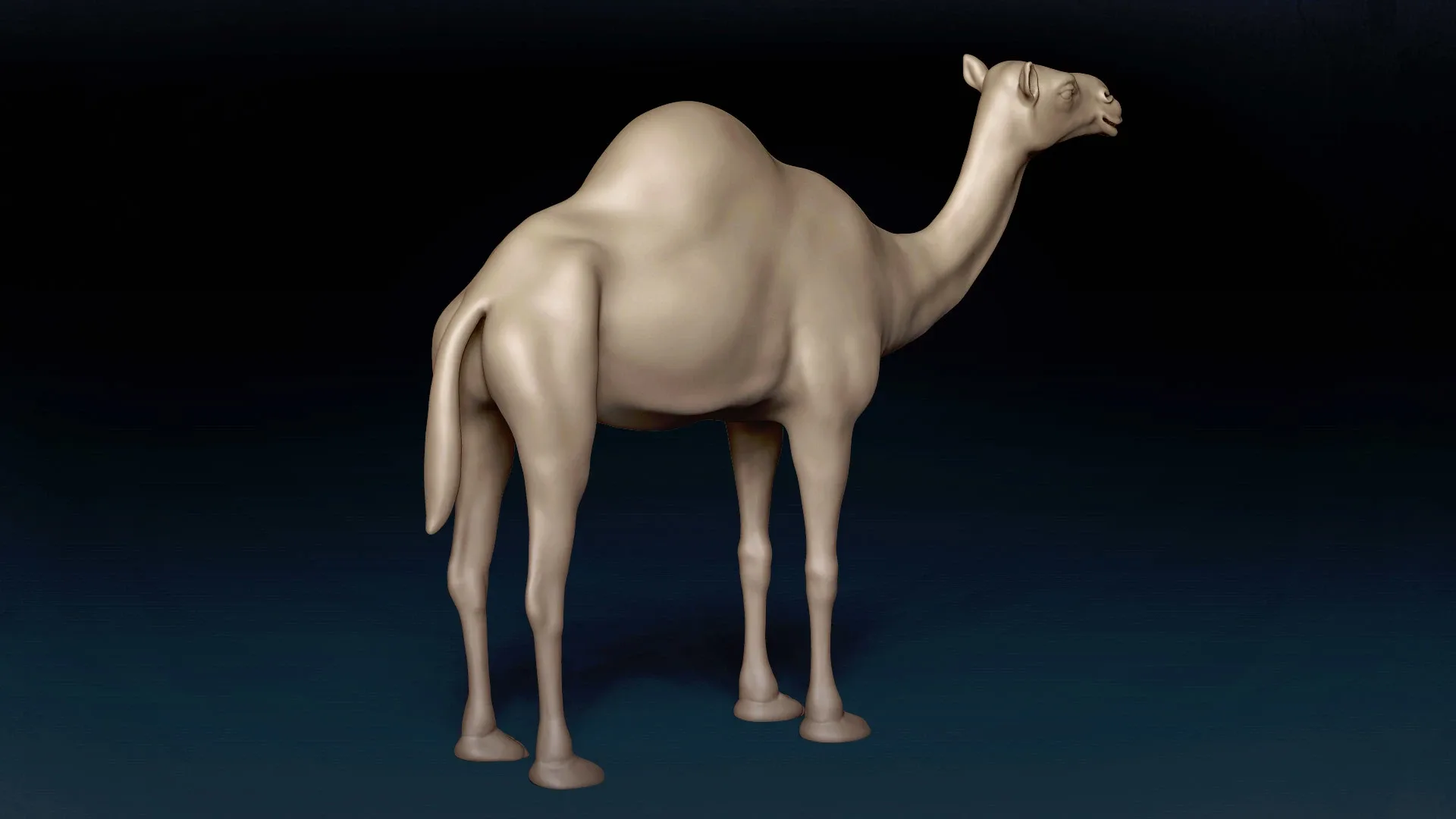 Camel Basemesh 3D model