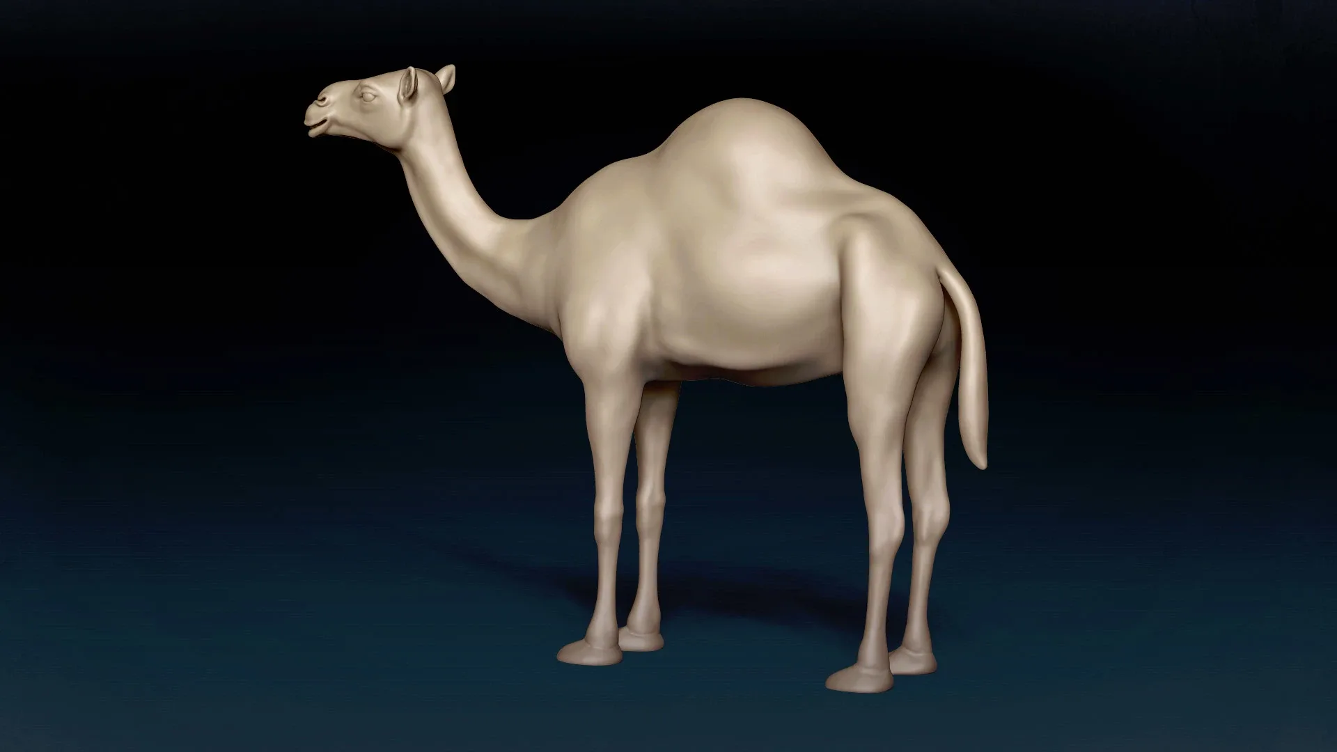 Camel Basemesh 3D model