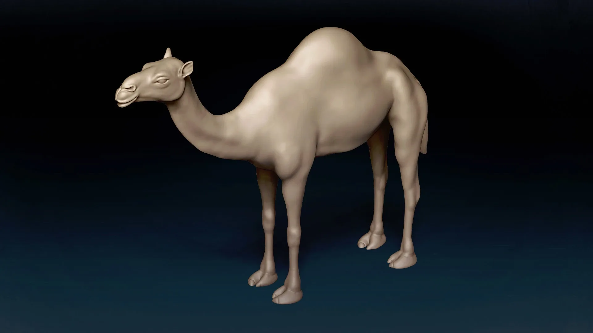 Camel Basemesh 3D model